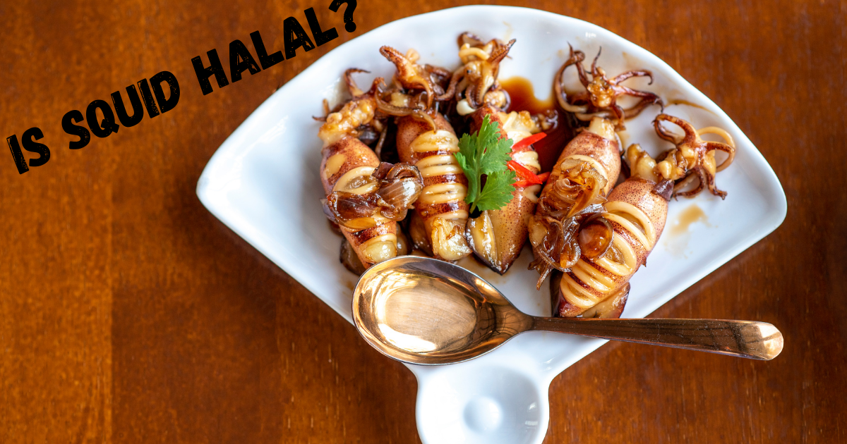 is squid halal