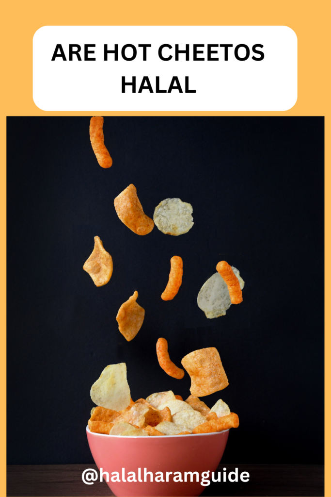 are-hot-cheetos-halal-pin