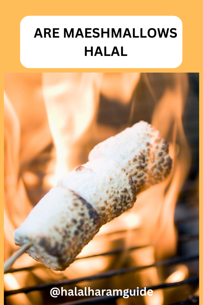 are-marshmallows-halal-pin