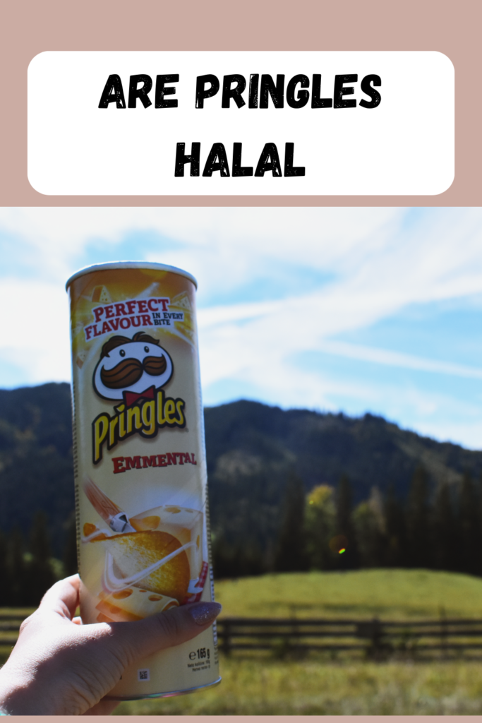 are-pringles-halal-pin