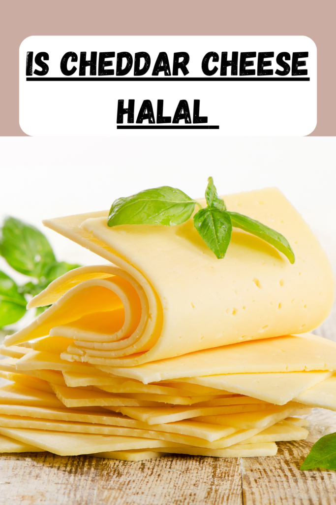 is-cheddar-cheese-halal-pin