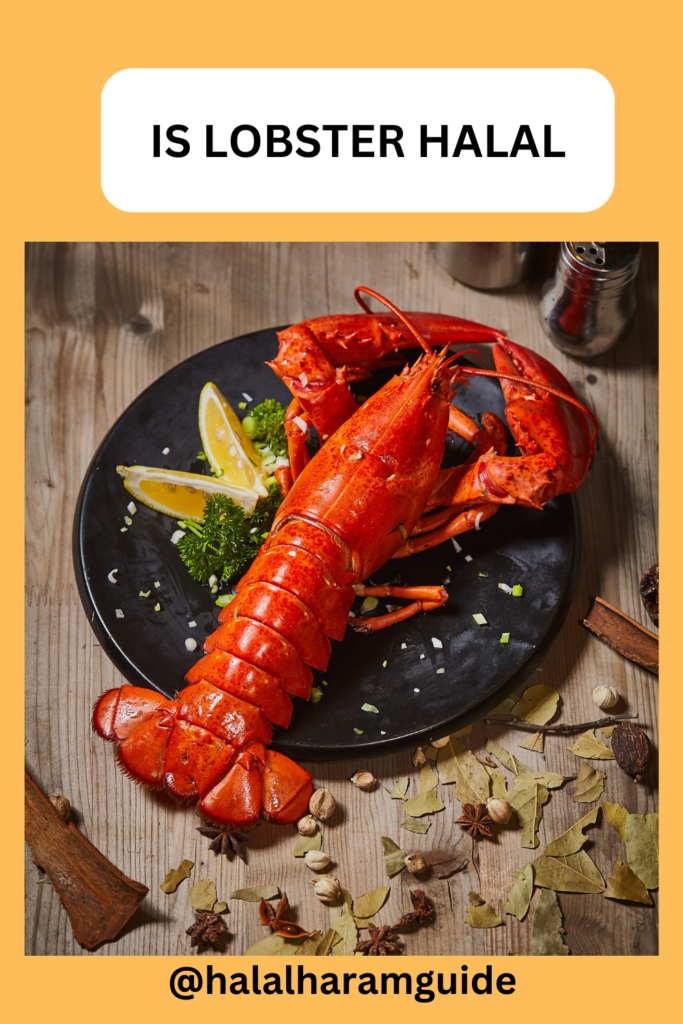 is-lobster-halal-pin
