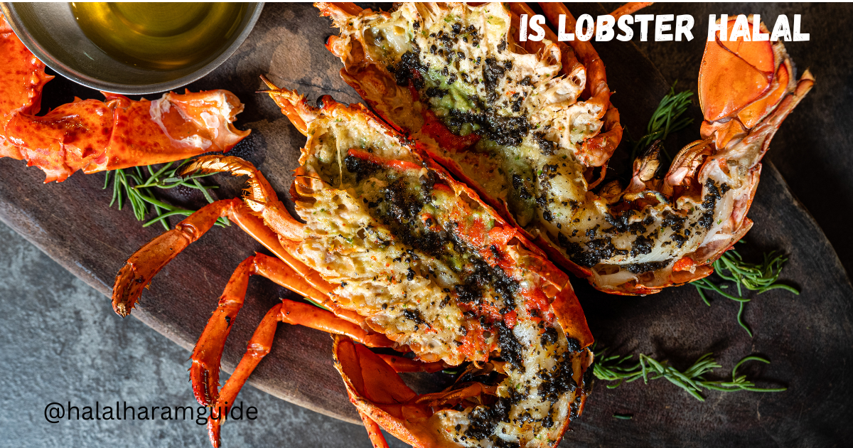 is lobster halal