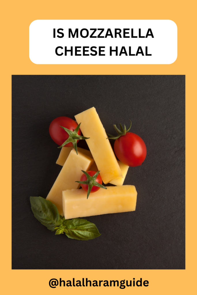 is-mozzarella-cheese-halal-pin
