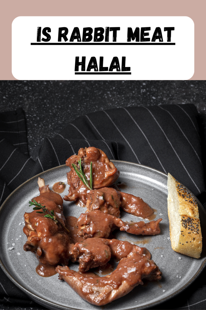 is-rabbit-meat-halal-pin