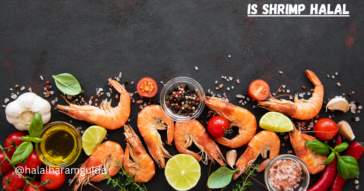 is shrimp halal