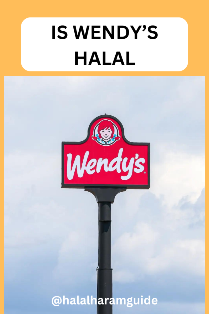 is-wendys-halal-pin