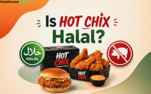 hot chix halal