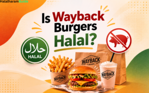 is wayback burgers halal